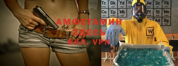 сатива Алексин
