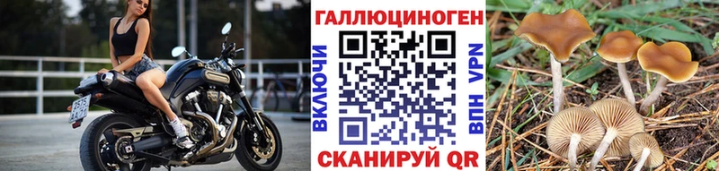 Галлюциногенные грибы мухоморы  Купить закладки  Сыктывкар 