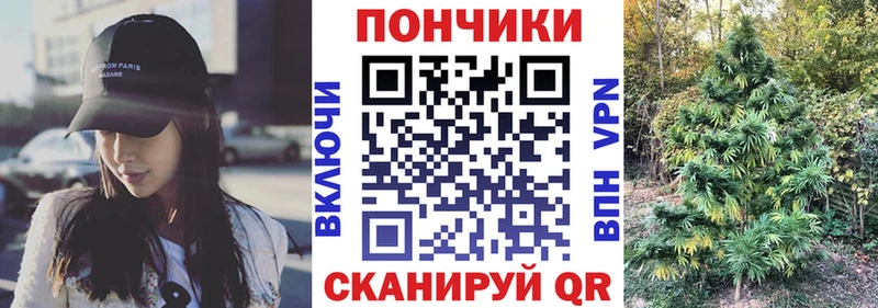 Купить закладки  Сыктывкар  Бошки марихуана сатива 